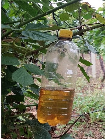 octena_musica_za_web.jpg octena_musica_za_web.jpg