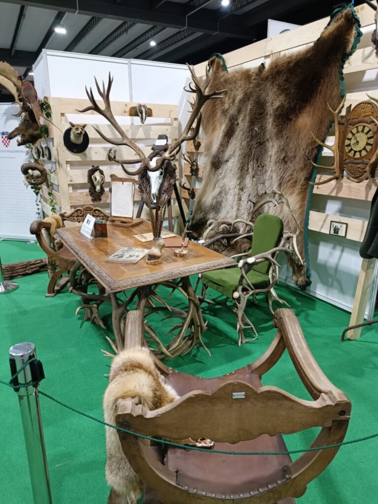 IMG_20240216_104108_3_768x1024.jpg IMG_20240216_104108_3_768x1024.jpg