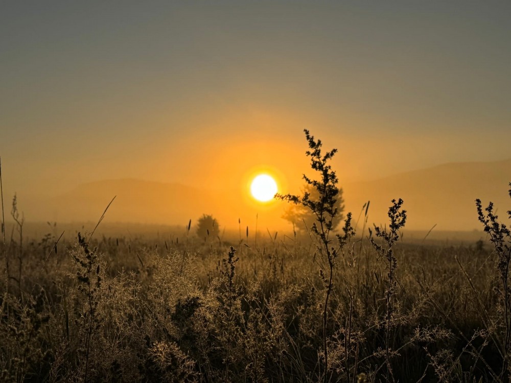 WhatsApp_Slika_2025_08_26_u_08_2.28_2d1e8b96.jpg WhatsApp_Slika_2025_08_26_u_08_2.28_2d1e8b96.jpg